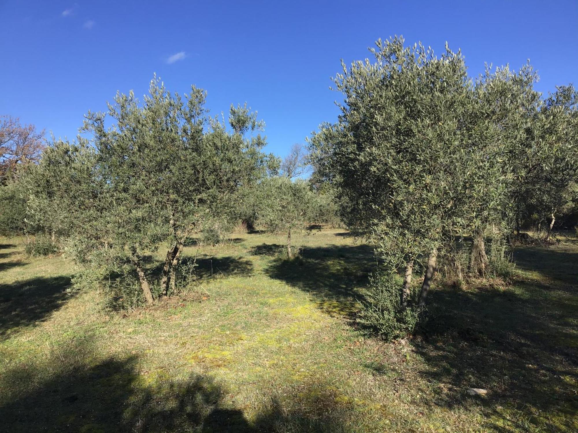 Le Verger Gordes Exterior foto